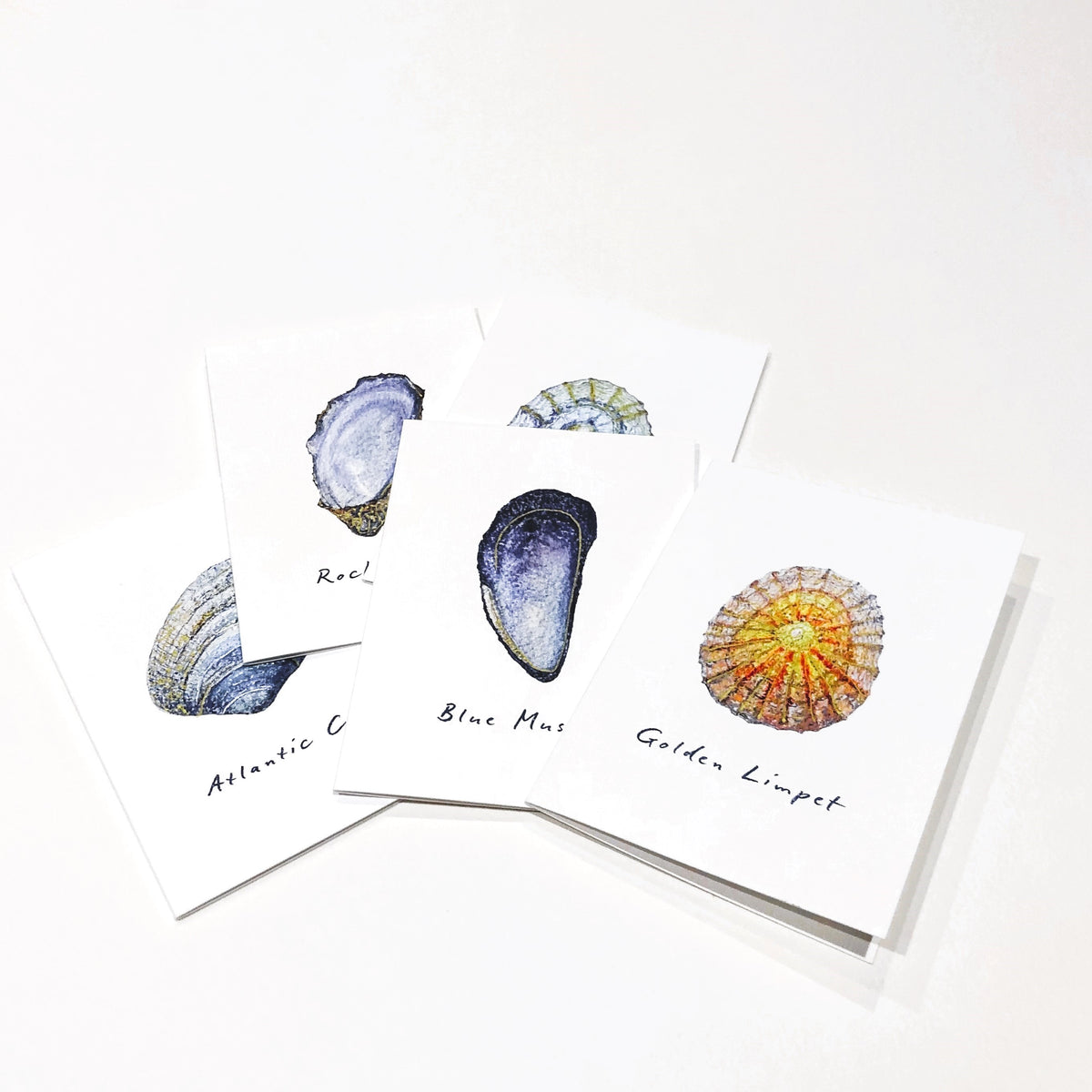 Miniature Shell Art Cards pack