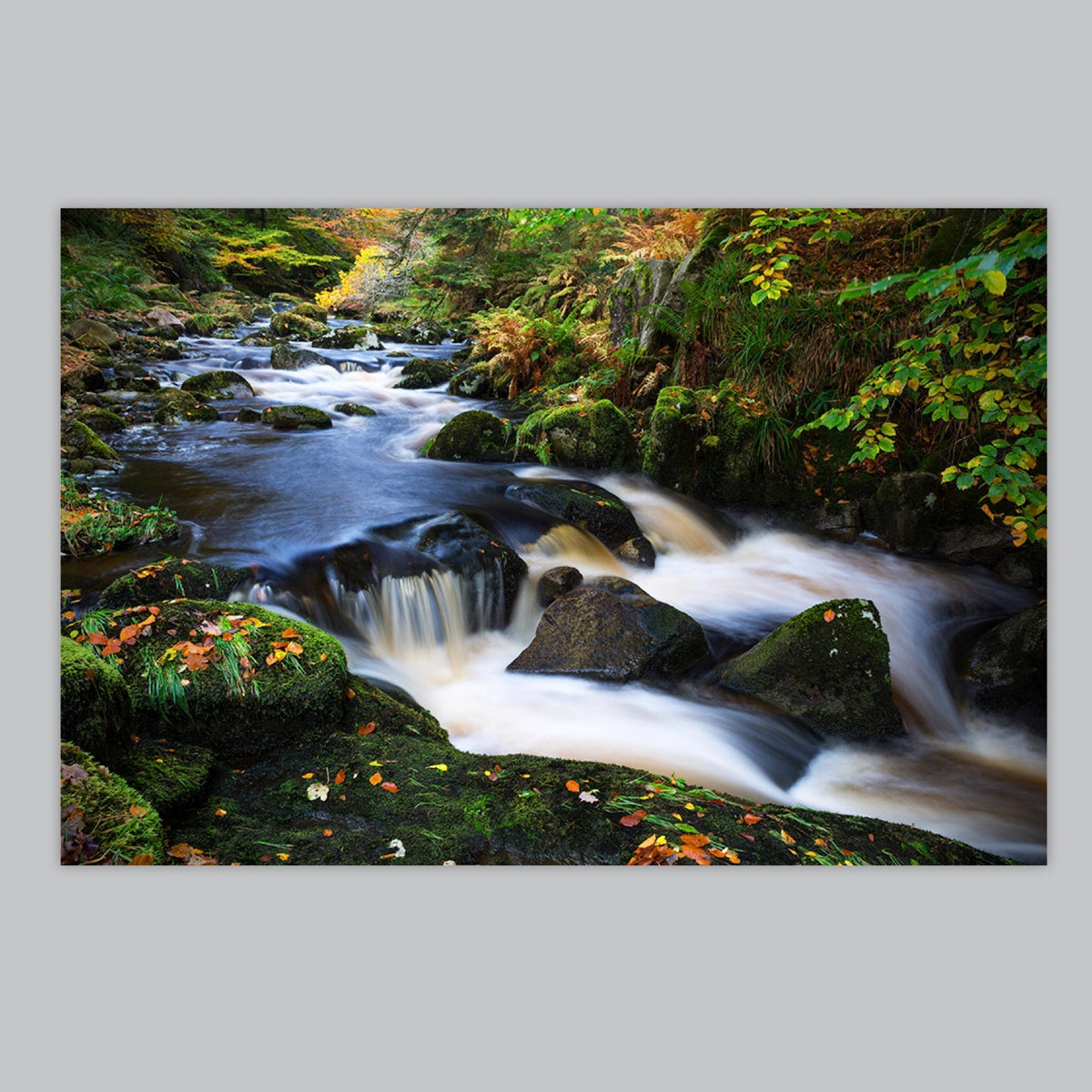 Cloghleagh Falls