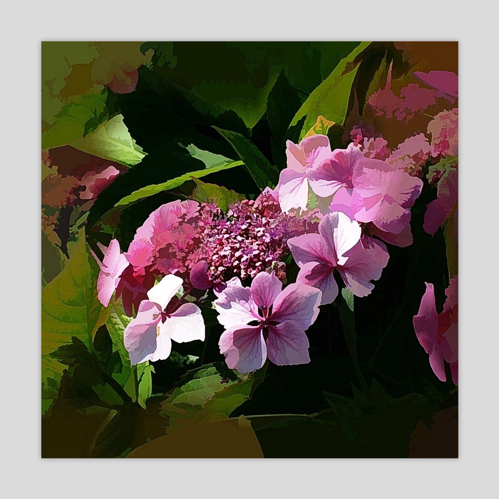 Lace Hydrangea (2120S-M7)