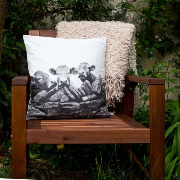 Cushion Cover - Blood Brothers